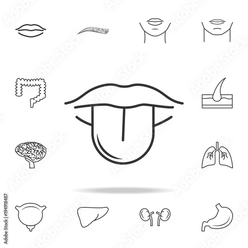 Lips Tongue Line Icon Detailed Set Of Human Body Part Icons Premium Quality Graphic Design One Of The Collection Icons For Websites Web Design Mobile App Buy This Stock Vector And ⬤ pictures of body parts vocabulary with pronunciations. adobe stock