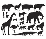 Animals Illustration Art Set