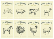 Labels With Farm Animals. Set Templates Price Tags For Shops And Markets Of Organic Food. Vector Retro Illustration Art. Hand Drawn Animals.