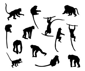 Ape and Monkey collection - vector silhouette.