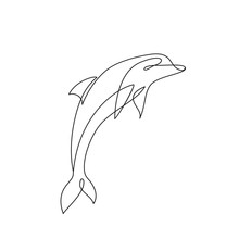 Dolphin Line Art