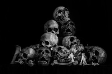 Wall Mural - Pile of skulls and bone on dark background / Still life style