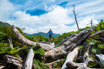 Wall Mural - Woman hiker moves through difficult terrain with logs. Pumalin National Park, Chile