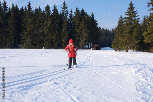 Dekoracja na wymiar  narciarz-biegowy-w-czerwonej-kurtce-jezdzi-na-nartach-na-trasie-narciarstwa-biegowego-na-rennsteig-w-turyngii