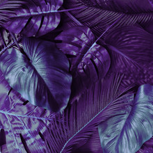 Creative Tropic Purple Leaves Layout. Supernatural Concept. Flat Lay. Ultra Violet Colors.