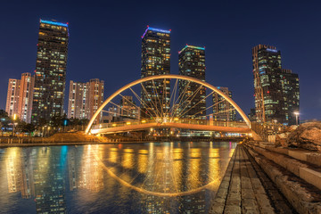 Central park at night in Songdo International Business District, Incheon South Korea.