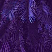 Creative Tropic Purple Leaves Layout. Supernatural Concept. Flat Lay. Ultra Violet Colors.