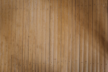 Poster - bamboo texture 