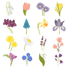 Spring Flower Flat Icon Set