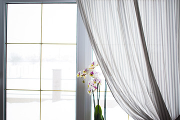 Plastic window overlooking the street. On the windowsill is an orchid. The window is hung with white tulle and a colorful curtain.