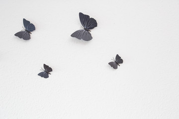 Wall Mural - black butterfly group white wall texture background