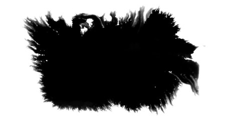 Wall Mural - abstract paint brush stroke shape black ink splattering flowing and washing on white background, art