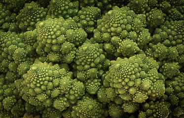 Macro close up of a Romanesco cauliflower showing fractal structure
