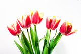 Fototapeta Tulipany - bouquet of red tulips in a vase on a white background gift for a girl on March 8 international female day