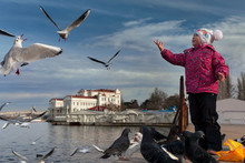 A Girl Feeding Seagulls In The Bay Of Sevastopol
