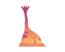 Silhouette Of Inside Giraffe At Sunrise Landscape