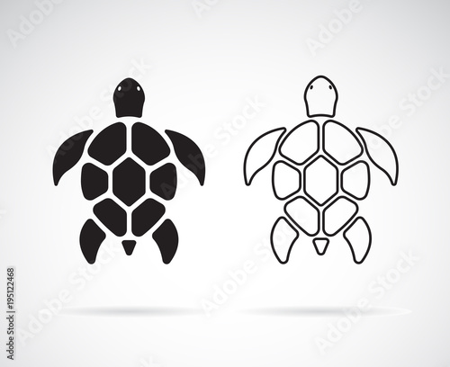 Cuadros en Lienzo Vector of turtle design on a white background