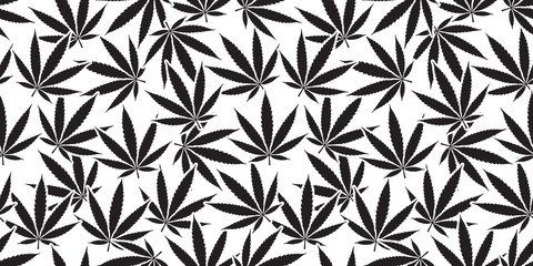 Wall Mural - Weed Marijuana cannabis seamless pattern leaf vector isolated background wallpaper white