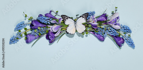 Spring flower with butterfly