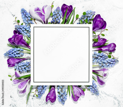 Crocus flower and blank card