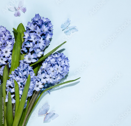 Hyacinth flower