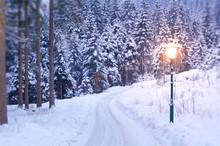 Lamp Post In Winter