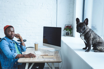 Young man working by computer while Frenchie dog sitting on windowsill