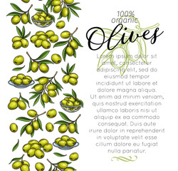 Wall Mural - Page template with sketch olives