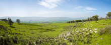 Panoramic View Of The Jezreel Valley  
