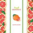 Ripe grapefruit fruit vertical seamless borders. Vector illustration card Wide and narrow endless strip with red pomelo for design of food packaging juice breakfast, cosmetics, tea, detox diet.