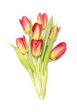 Fototapeta Tulipany - Red and yellow tulips bouquet on white background.
