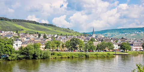 Wall Mural - panoramic landscape of the mosel valley and river with a picturesque village, germany