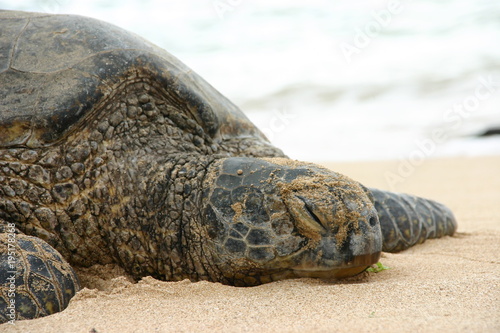 Fotolia アドビストックのデザイン かべいろ Com おしゃれ壁紙リフォーム貼り替え インクジェット壁紙のかべいろ Com