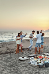 Wall Mural - Friends Having Beach Party