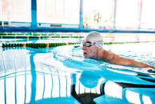 Senior Man Swimming In An Indoor Swimming Pool.