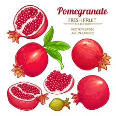 Sticker - pomegranate fruits vector set