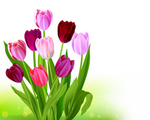 Poster - Bouquet Tulip spring banner