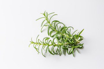 Rosemary. Twig of rosemary isolated on white