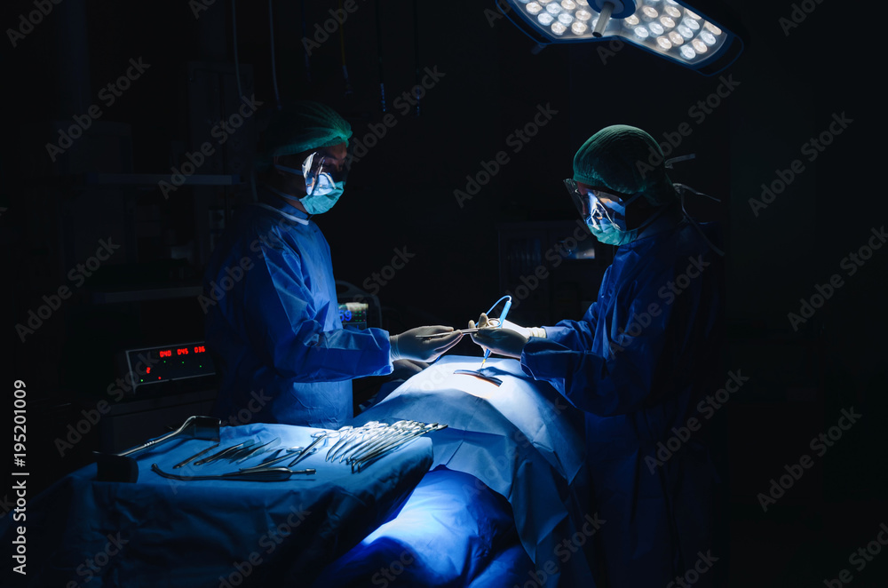 Send Surgical Instrument Doctor and Assistant surgeon surgical instrument sending to hand work ...