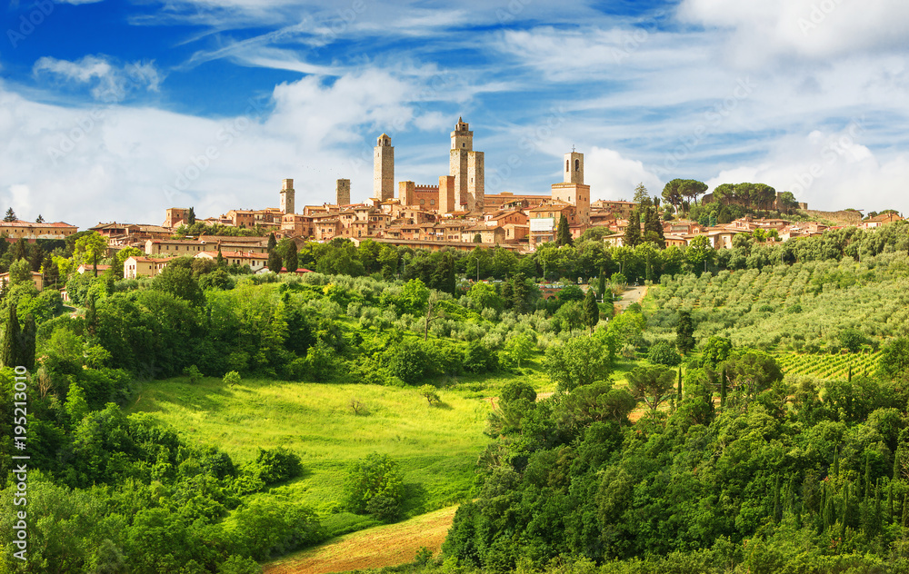 Panorama of San Gimignano and vineyards around this Italian beautiful city (UNESCO heritage),Italy - obrazy, fototapety, plakaty 