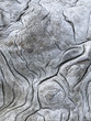 © Paul Edmondson/Stocksy - Close up of patterns in driftwood