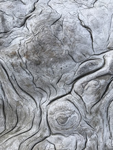 Close Up Of Patterns In Driftwood