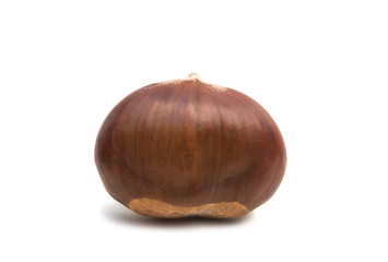 Sticker - chestnut edible isolated