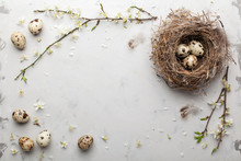 Easter Composition Of Quail Eggs In A Nest With Spring Blooming Branches. Easter Concept. Flat Lay, Copy Space.