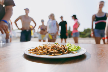 A delicious dish prepared from the ingredients of insects fried worms, lettuce leaves ready for eating on round white glass plate on wooden table next to which are people. Cookery, taste preferences