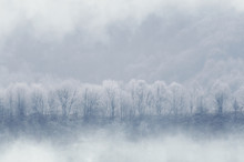 Winter Landscape With Fog On Cold Morning