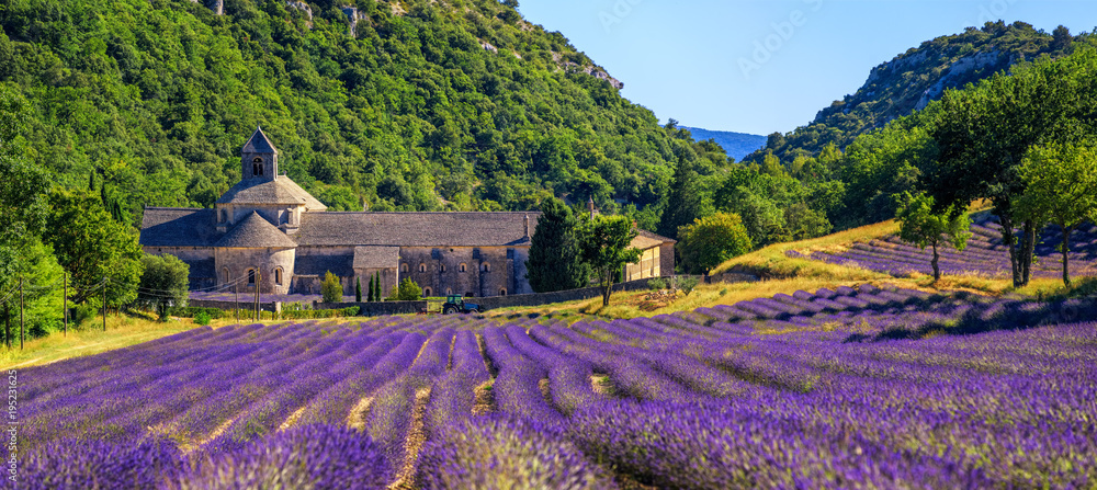 Blooming lavender field in Senanque abbey, Provence, France - obrazy, fototapety, plakaty 