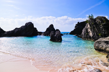 Wall Mural - scenic view of horseshoe bay beach bermuda