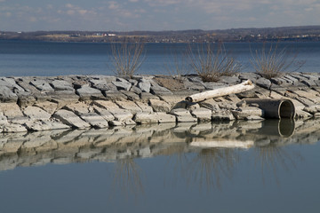 Reflections of a Log