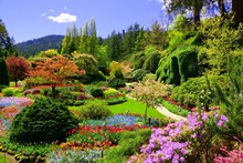 Butchart Gardens, Victoria, Canada. View Of The Colorful Flowers Of The Sunken Garden During Spring.